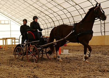 Д21х60 Манеж Серпухов
